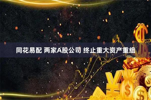 同花易配 两家A股公司 终止重大资产重组